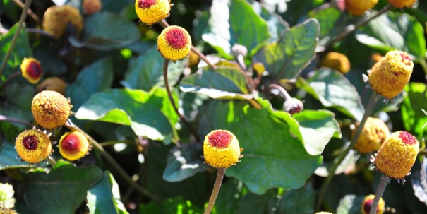 foto blog 02 02 foto blog 02 02