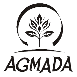 logo nazwa 02 transp2